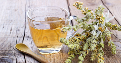Кримският чай е многогодишно тревисто растение което вирее по варовити