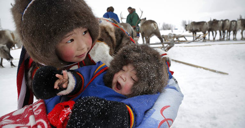  Ненеците-еленовъди на полуостров Ямал цяла година сменят местоживеенето си из