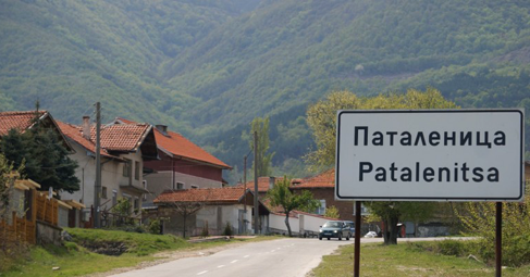 Паталеница е село в Южна България То се намира в