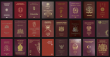 Знаете ли, че паспортите на държавите по света са само в четири цвята?