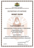 Хризантема С.