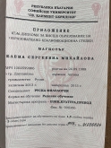 Елена Михайлова